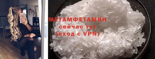 молекула духа Богданович