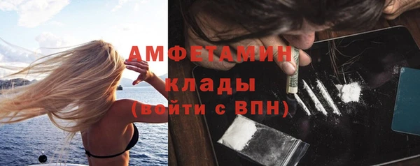 шишки Богородск