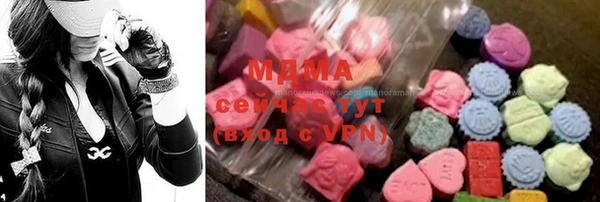 молекула духа Богданович