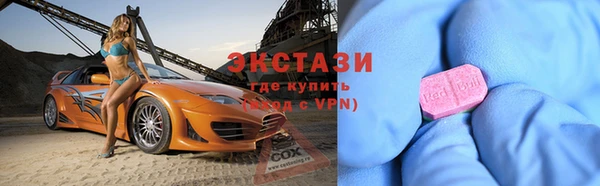 молекула духа Богданович