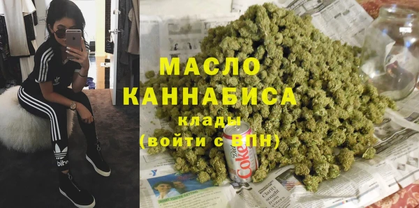 молекула духа Богданович