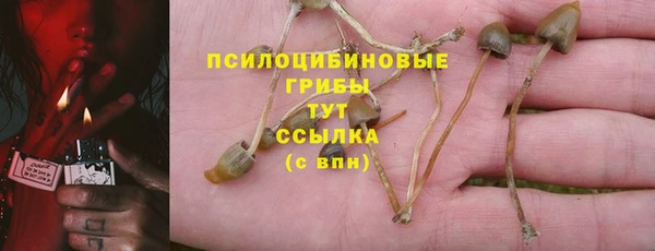 шишки Богородск