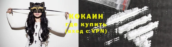 шишки Богородск