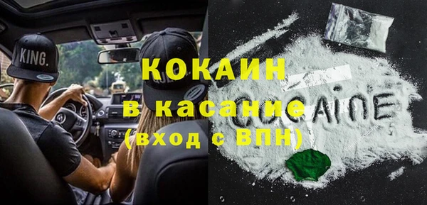шишки Богородск