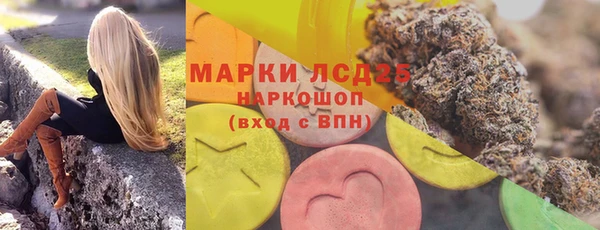 сатива Бородино