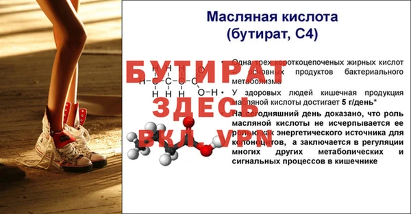 молекула духа Богданович