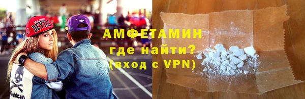молекула духа Богданович